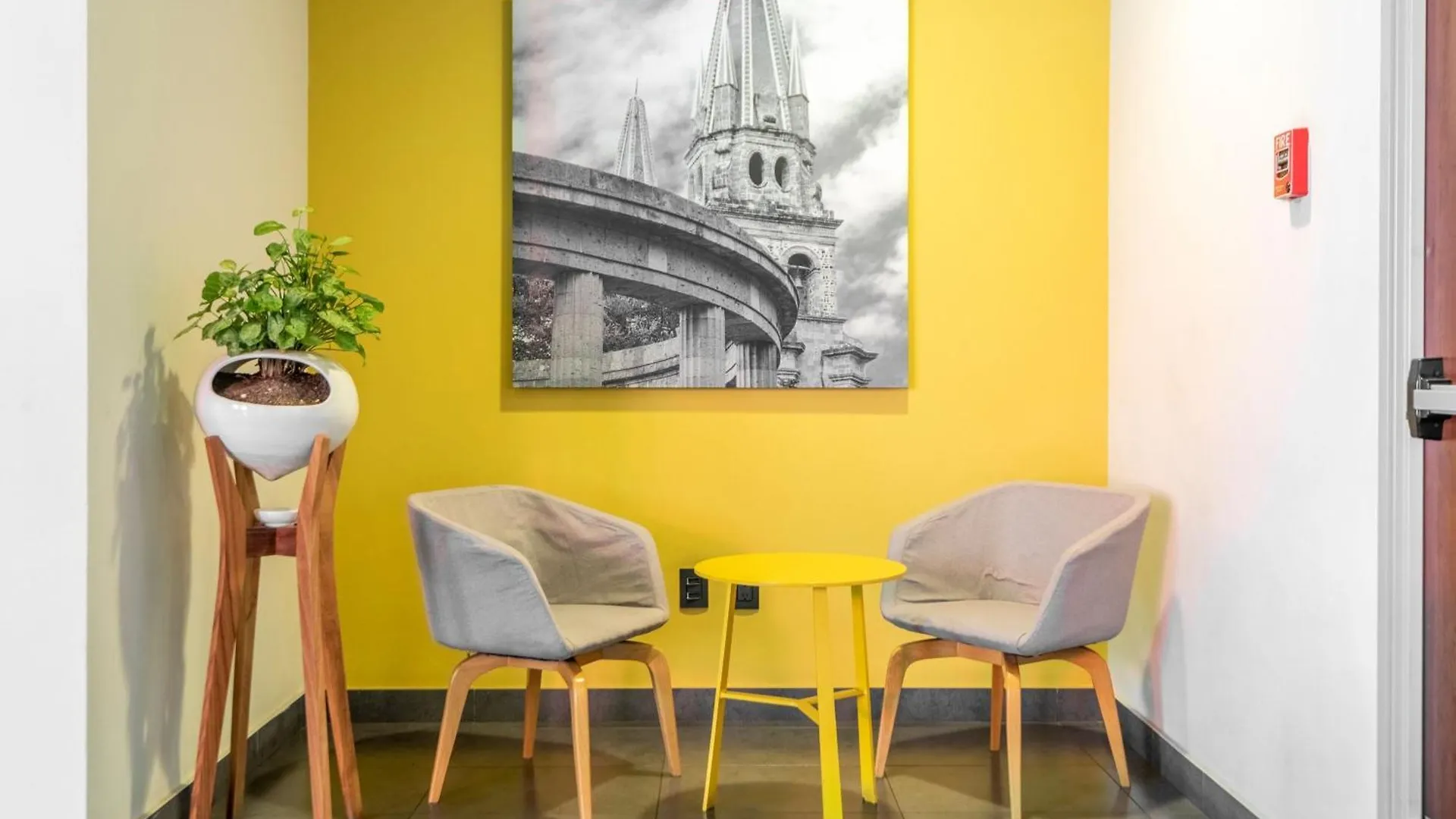 Hotel City Express Plus By Marriott Guadalajara Palomar